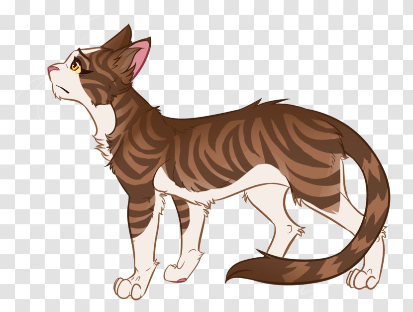 Cat Whiskers Tiger Leafpool Warriors - Wildlife Transparent PNG