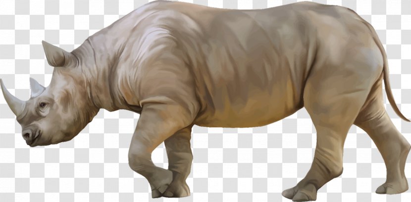 White Rhinoceros Black Clip Art - Horn - Shutter Stock Transparent PNG