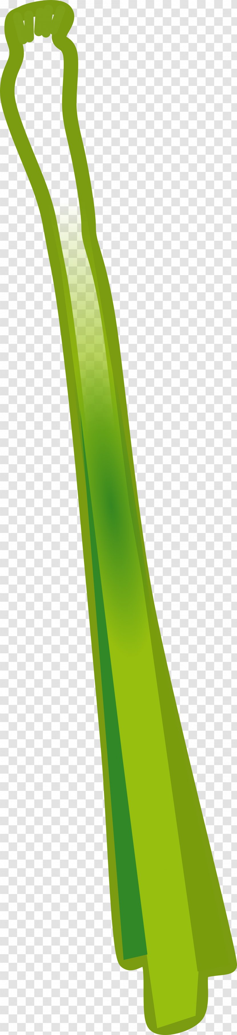 Celery Clip Art - Product Design - Vegetable Transparent PNG