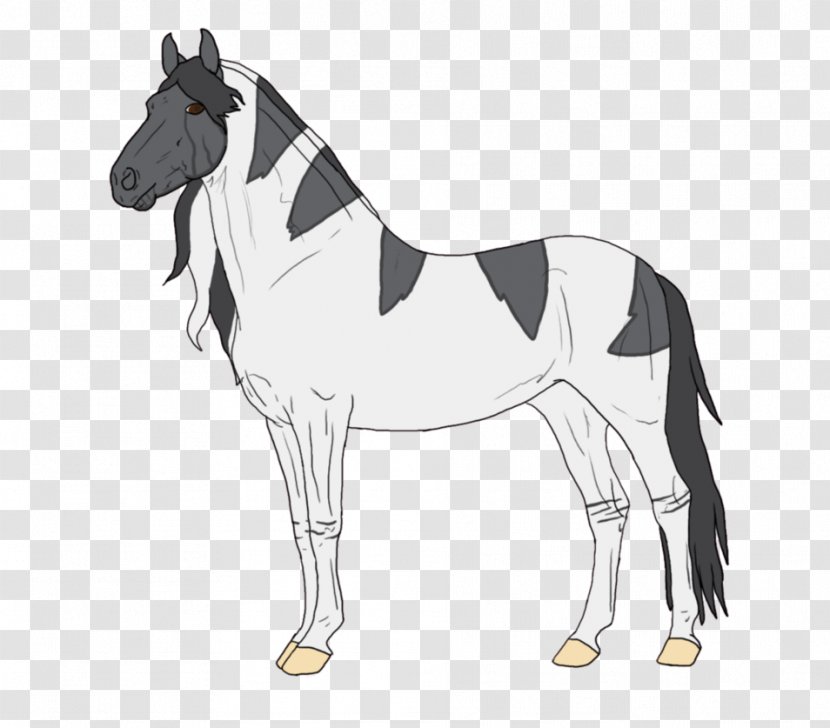 Mule Foal Stallion Mare Colt - Fictional Character - Mustang Transparent PNG