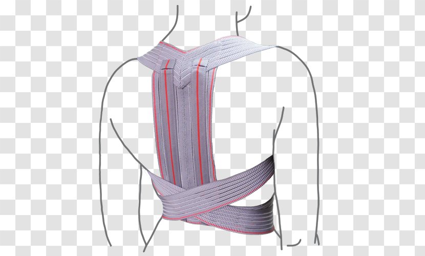 Neutral Spine Бандаж Kyphosis Vertebral Column Реклинатор - Corset - Remed Transparent PNG