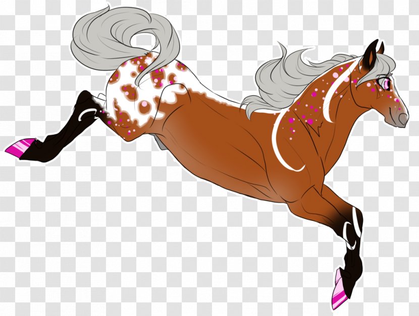 Mustang Stallion Halter Pony Equestrian Transparent PNG