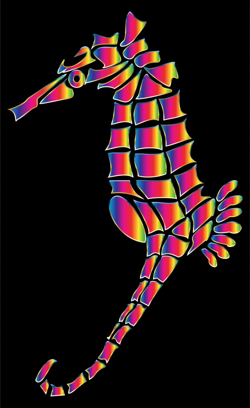 Seahorse Silhouette Clip Art - Fish Transparent PNG