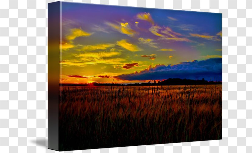 Painting Picture Frames Gallery Wrap Canvas Art - Printmaking Transparent PNG