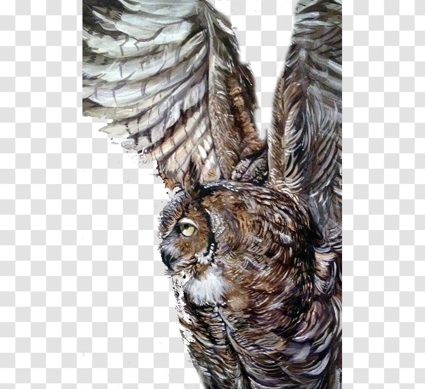 Owl Illustrator - Wings Transparent PNG