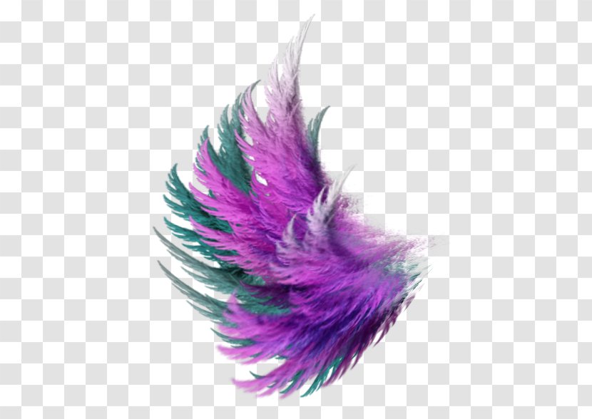 Color Fairy - Wings - Art Transparent PNG