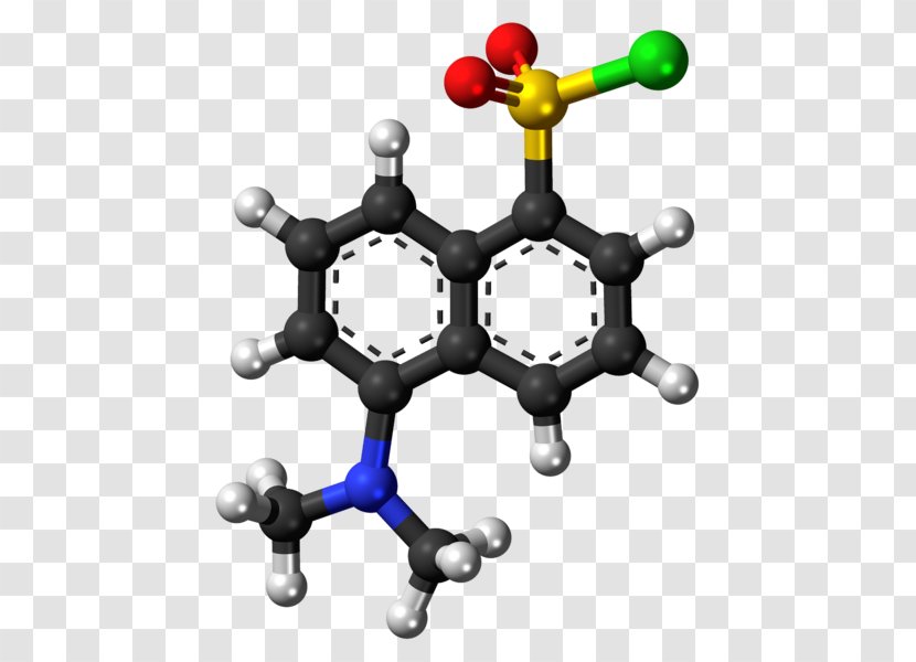 Amine Chemical Compound Organic Chemistry Substance - Amino Acid - Oxygen Atom Animation Transparent PNG