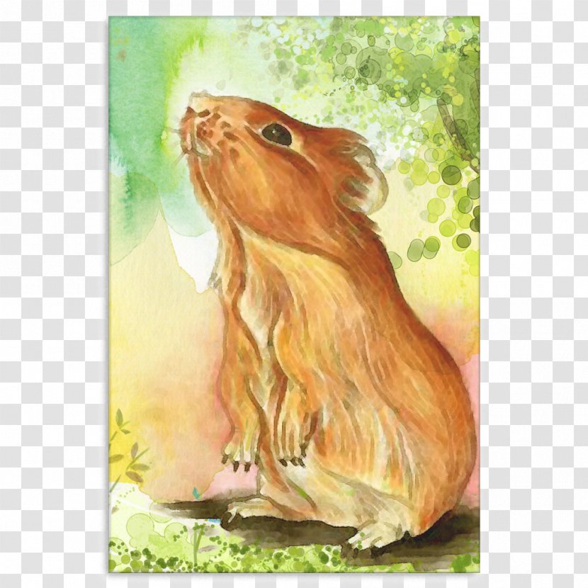 Guinea Pig Watercolor Painting Hare Transparent PNG