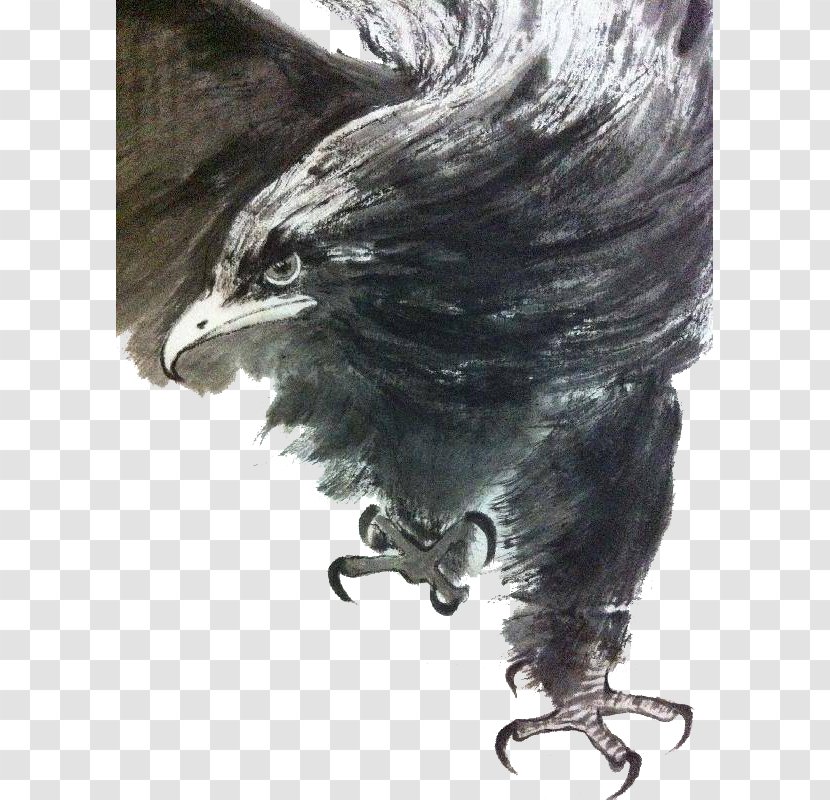 U6c34u58a8u753bu9e70 Ink Wash Painting Eagle - Traditional Transparent PNG