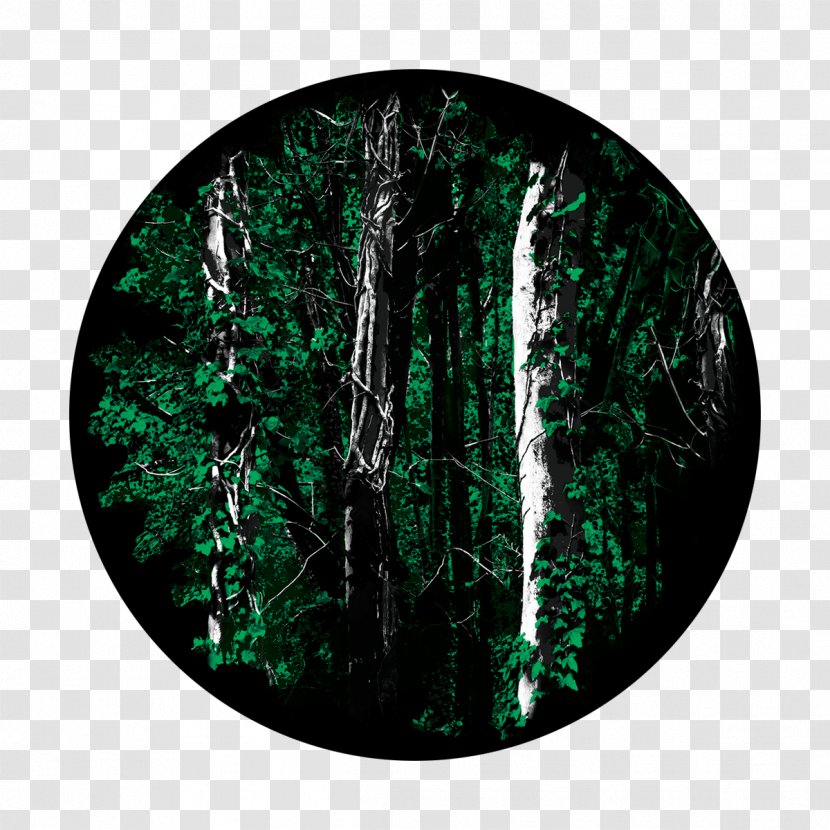 Forest Glass Gobo Tree Transparent PNG