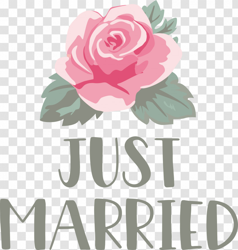 Just Married Wedding Transparent PNG