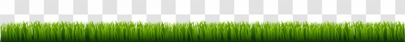 Green Angle - Hand Painted Grass Transparent PNG