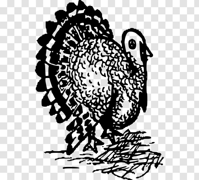 Bird Line Drawing - Chicken - Wild Turkey Blackandwhite Transparent PNG