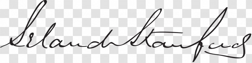 White Line Art Angle Font - Brand Transparent PNG