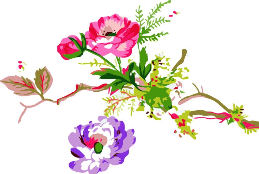 Floral Design Drawing Dibujo: Flores - Floristry - Flower Transparent PNG