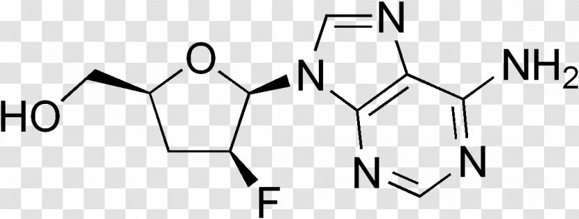 Nucleotide Cyclic Guanosine Monophosphate S-Adenosyl Methionine CAS Registry Number - Tree - Cordyceps Transparent PNG