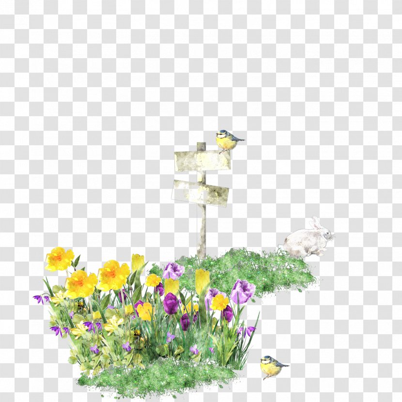 Floral Design Jason Dean Wildflower Petal - Com - Creative Daffodils Transparent PNG