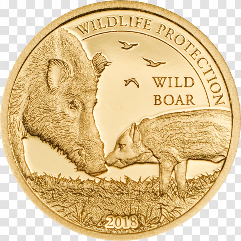 Mongolia Wild Boar Silver Coin - Gold As An Investment Transparent PNG