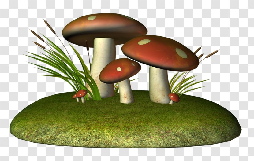 Drawing Fungus Mushroom Pencil Transparent PNG