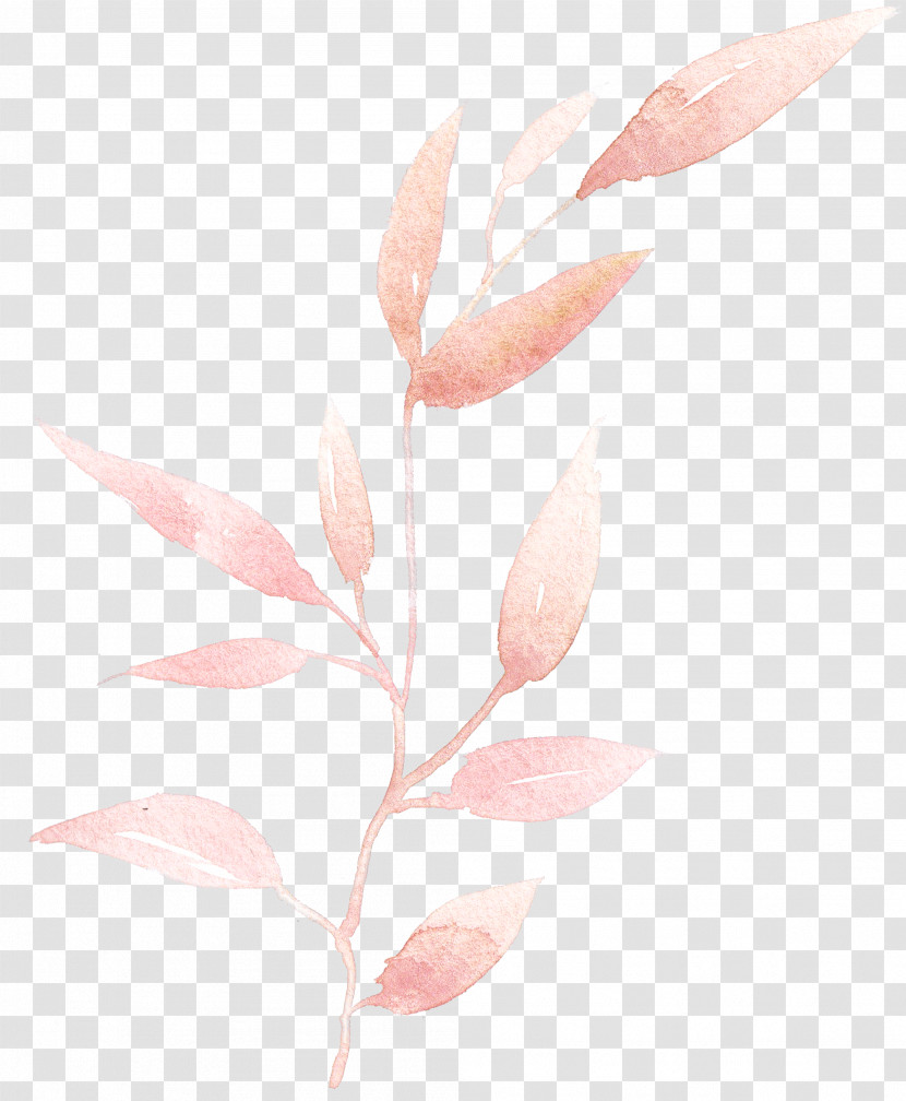 Pink Leaf Plant Flower Pedicel Transparent PNG