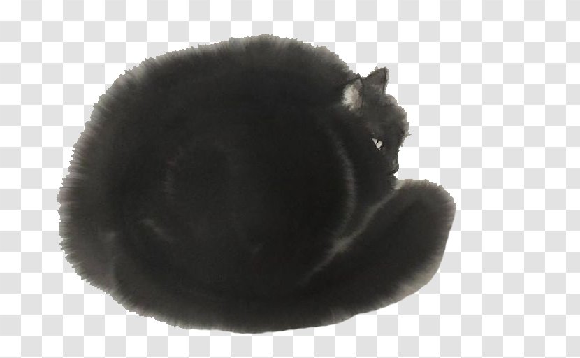 Black Cat Felidae Whiskers - Carnivoran - Curly Transparent PNG
