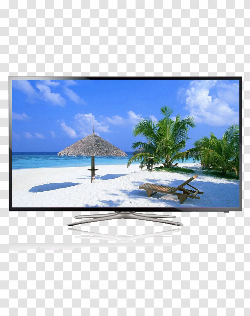 Baga Punta Cana Beach Arecaceae Wallpaper - Resort - LCD Wall Support For TV Transparent PNG
