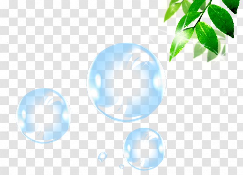 Bubble Sphere Blister - Bamboo Transparent PNG