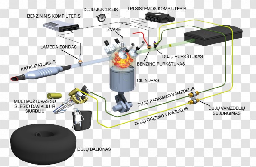 Car Vialle Liquefied Petroleum Gas Autogas Wiring Diagram - Gasoline Transparent PNG