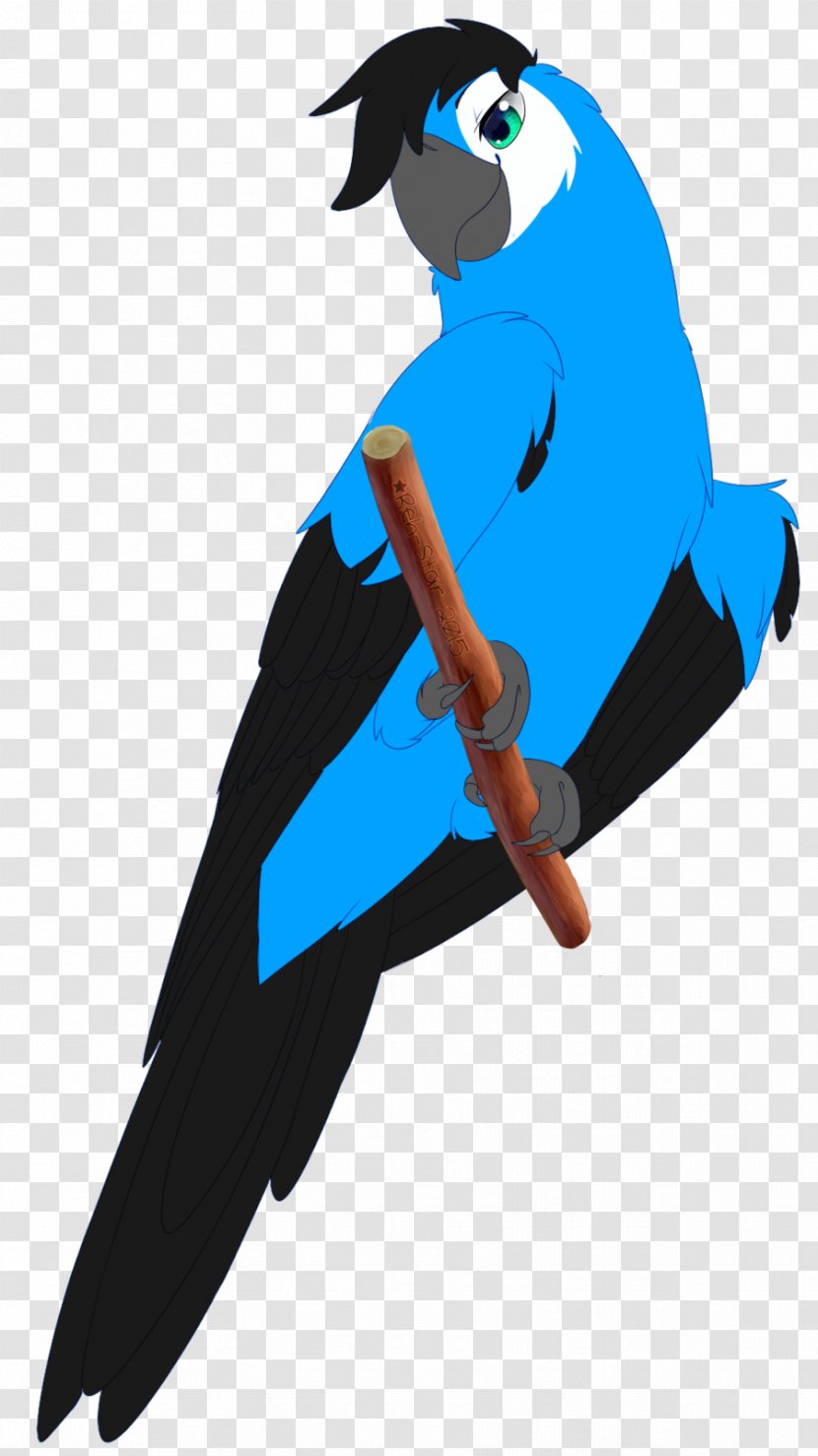 Spix's Macaw Beak Fan Art Blue-and-yellow - Cartoon Transparent PNG