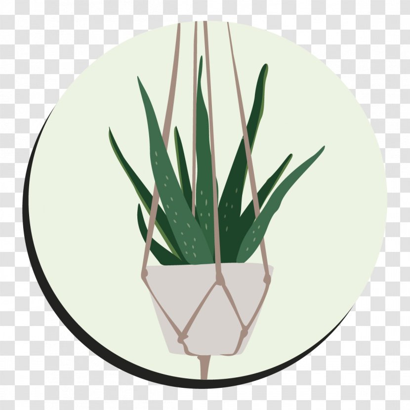 Green Leaf Flowerpot Aloes Tableware - Dishware Transparent PNG