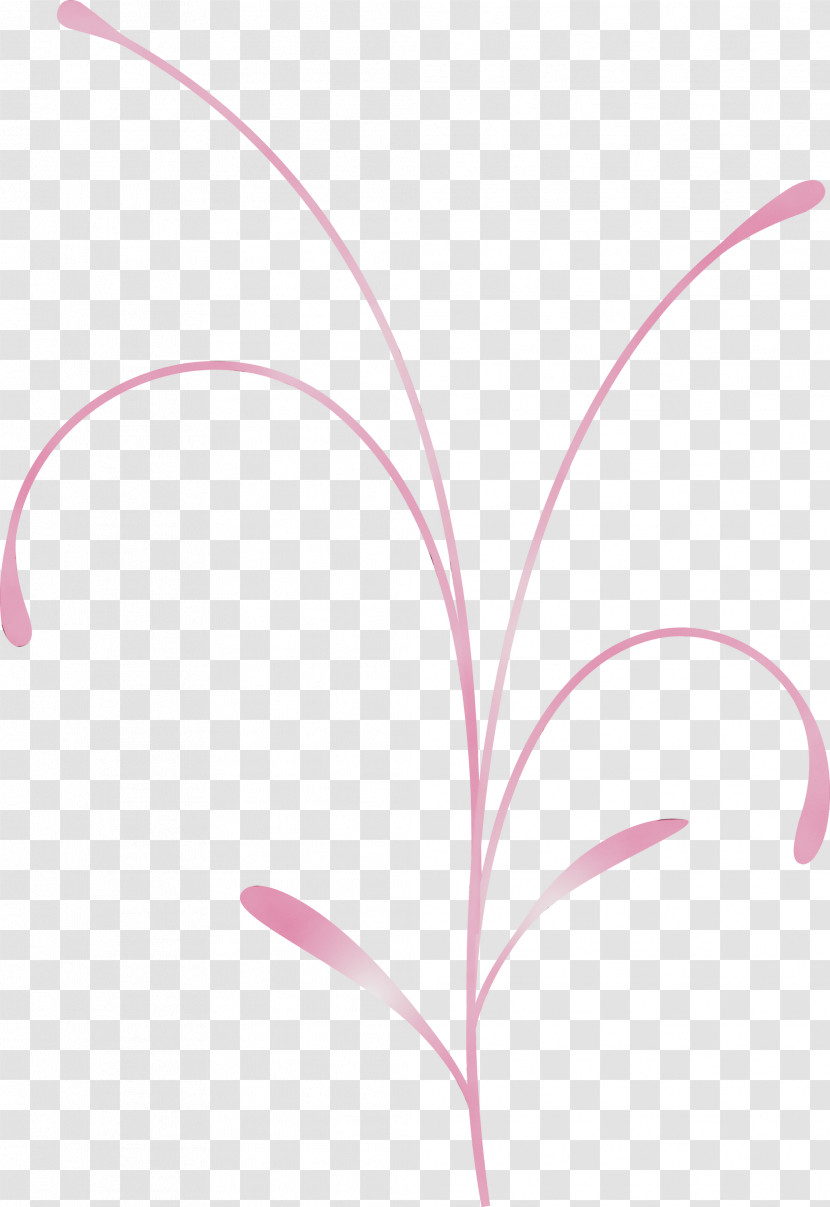 Pink Leaf Line Plant Flower Transparent PNG