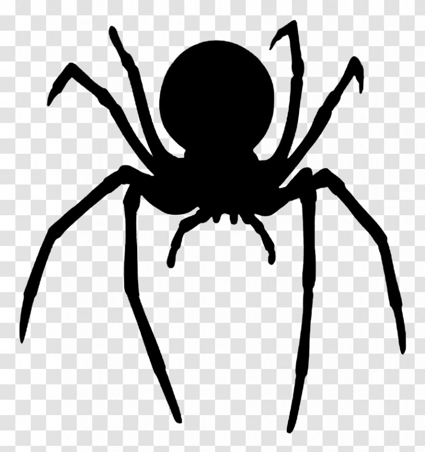 Redback Spider Southern Black Widow Latrodectus Hesperus Web - Joint Transparent PNG