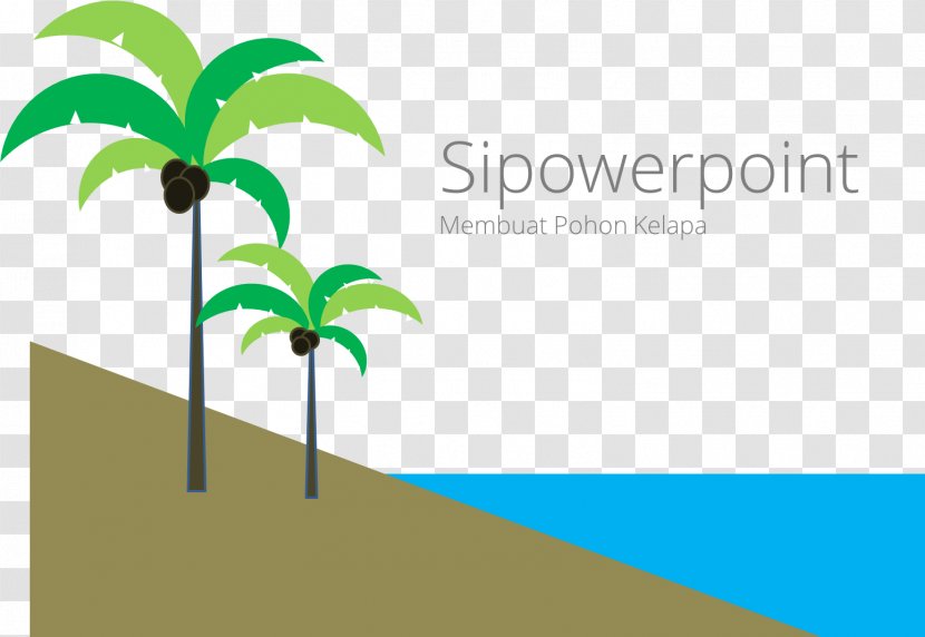 Tree Coconut Microsoft PowerPoint Ppt Image Transparent PNG