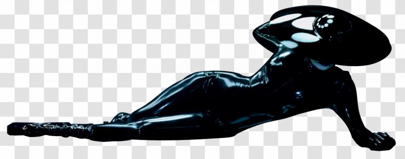 Lady Gaga Fame The Transparent PNG