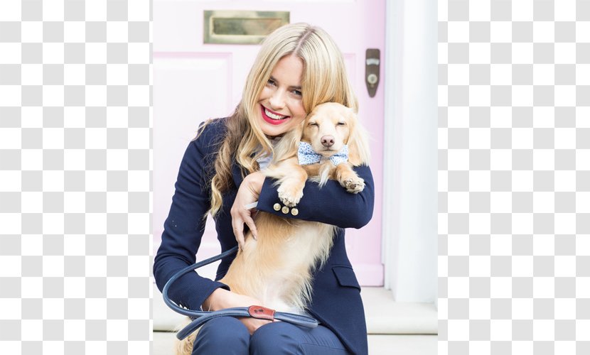 Dog Blond Fur - Wearing Tie Transparent PNG