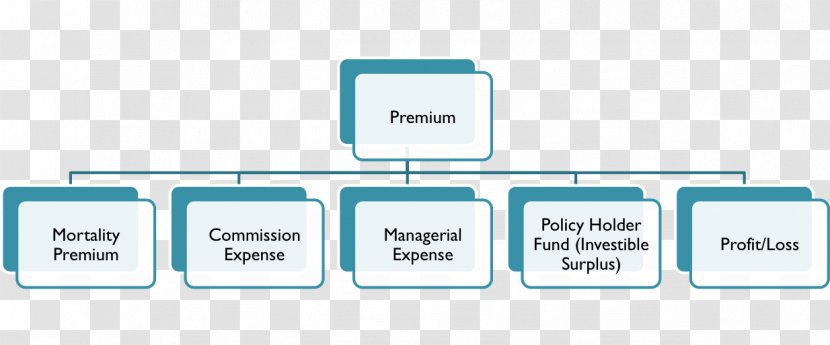Organizational Structure Chart Management - Insurance Transparent PNG
