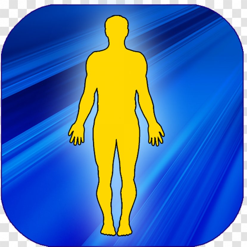 Human Body Guide For Kids Homo Sapiens Our Parts - Tree - Free Physical BodyOthers Transparent PNG