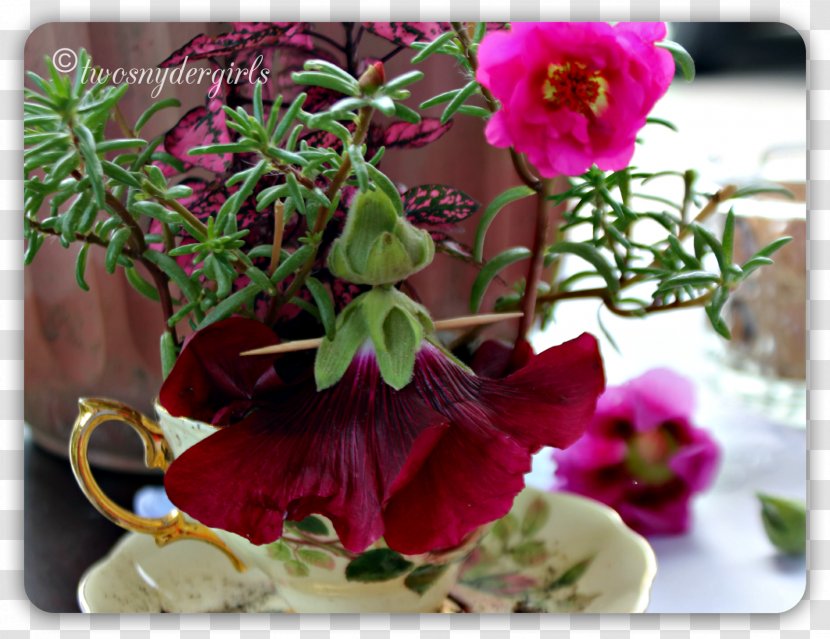 Floral Design Flowerpot Violet Family - Pnk Transparent PNG