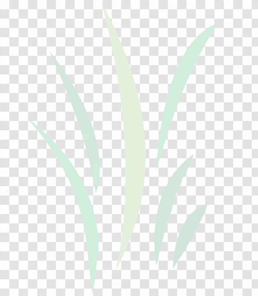 Leaf Desktop Wallpaper Plant Stem Font Close-up - Logo Transparent PNG