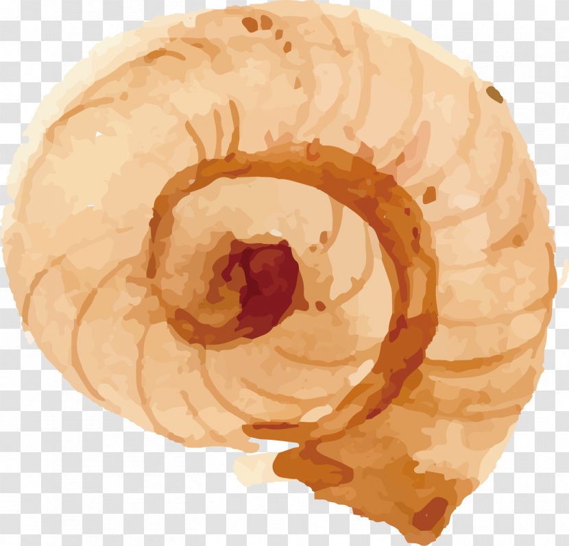 Cartoon Drawing - Snail Vector Transparent PNG