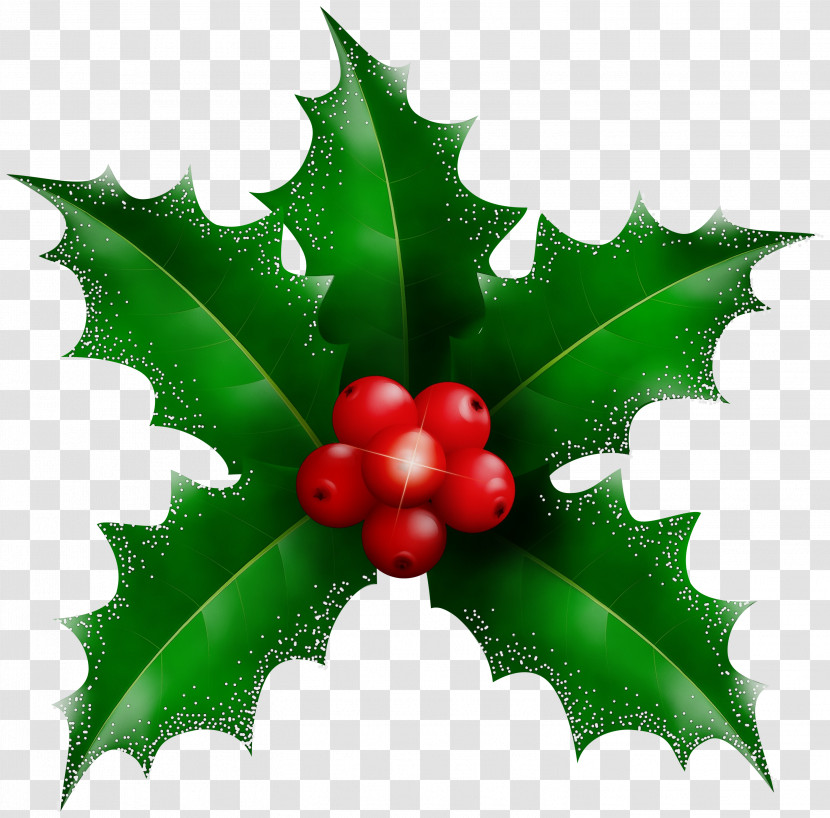 Holly Transparent PNG