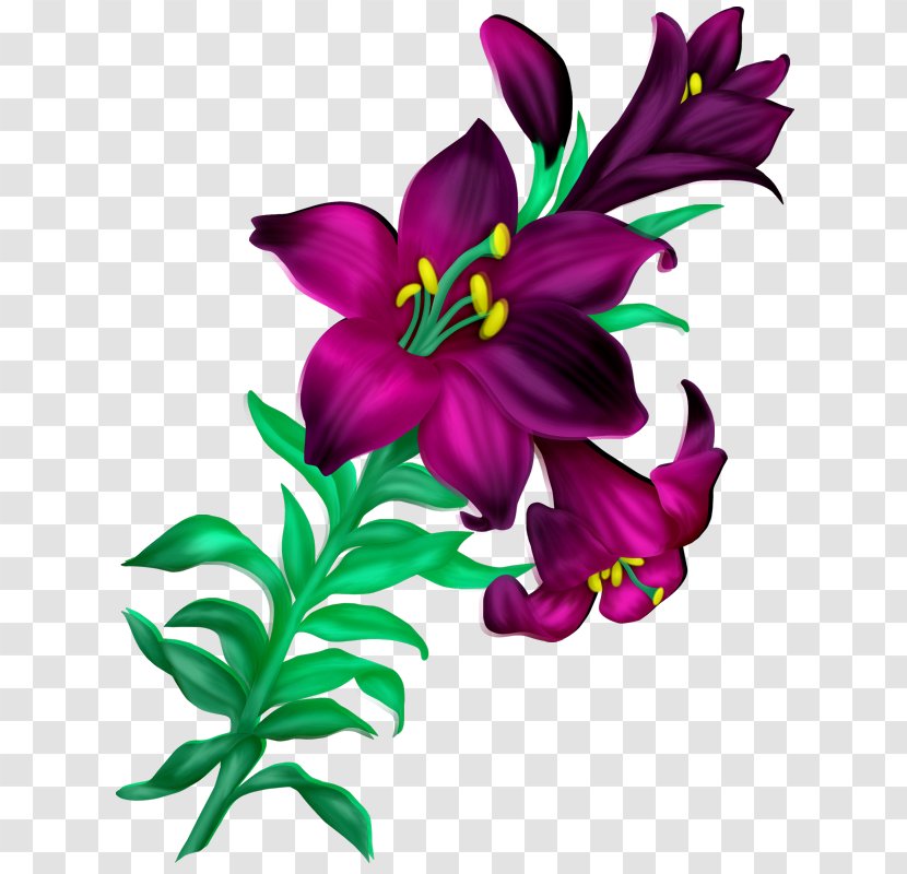 Flower Desktop Wallpaper Clip Art - Plant - Beautiful Flowers Library Transparent PNG