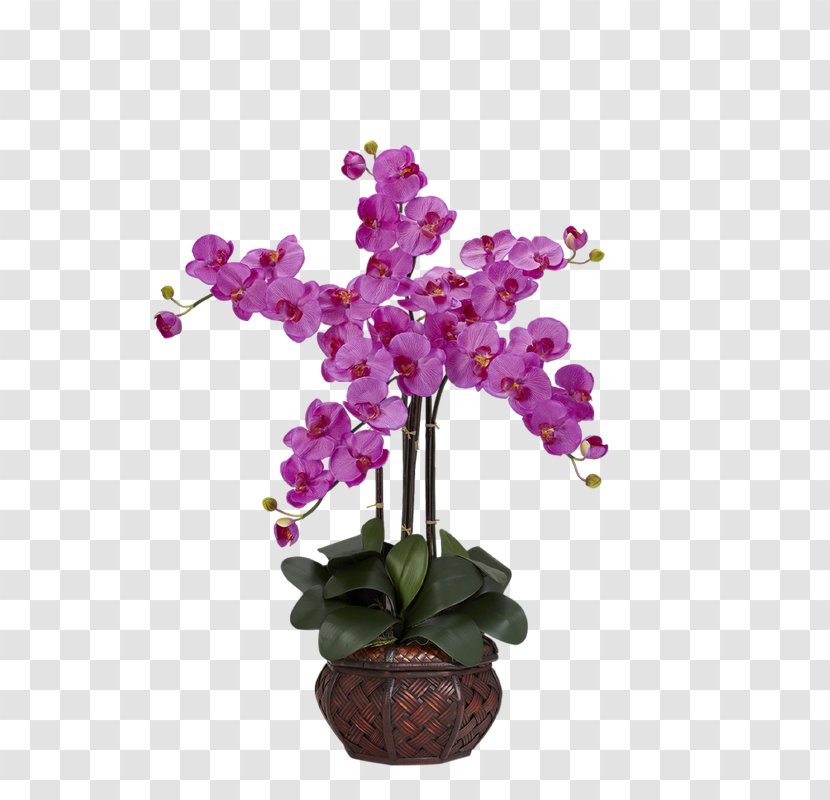 Moth Orchids Artificial Flower Vase Transparent PNG