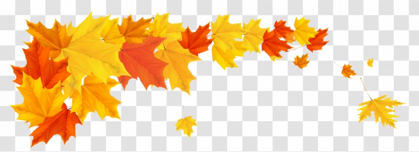 Autumn Cartoon - Tree - Plant Transparent PNG