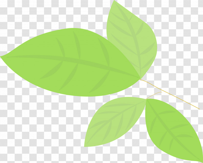 Leaf Green Plant Flower Font Transparent PNG