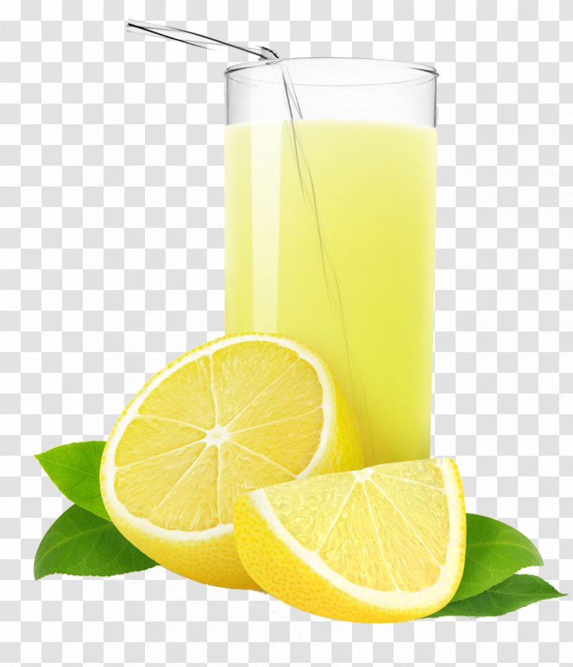 Orange Juice Lemonade Grapefruit - Citric Acid - Drinks Transparent PNG