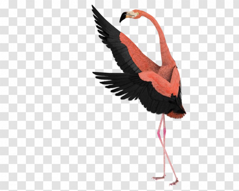 Bird Art Drawing Surrealism Clip - Cartoon - Flamingo Transparent PNG