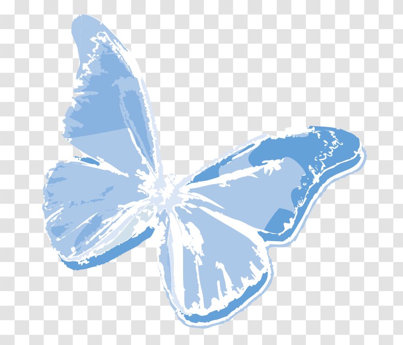 Butterfly Newsletter Email United States Book - Insect Transparent PNG
