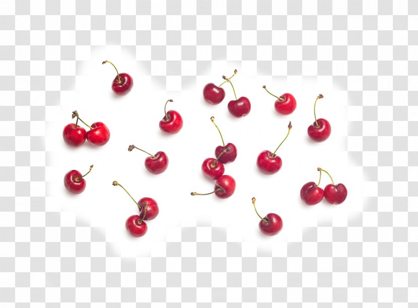 Cherry Juice Fruit Snacks Cranberry - Material Transparent PNG