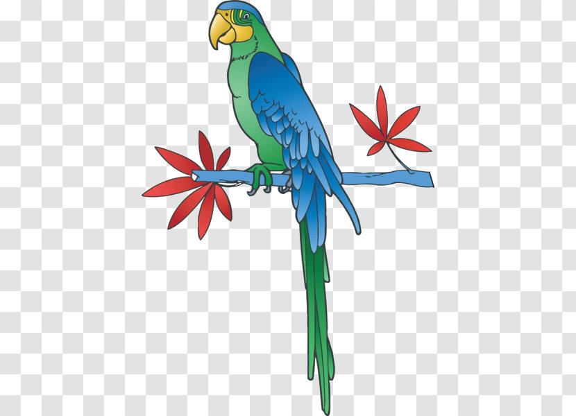 Parrot Royalty-free Clip Art - Fauna - Cartoon On The Branch Of Transparent PNG